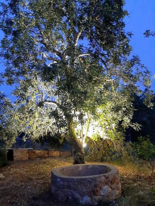 فيلا Quinta Do Cerro Sao Vicente البوفيرا المظهر الخارجي الصورة